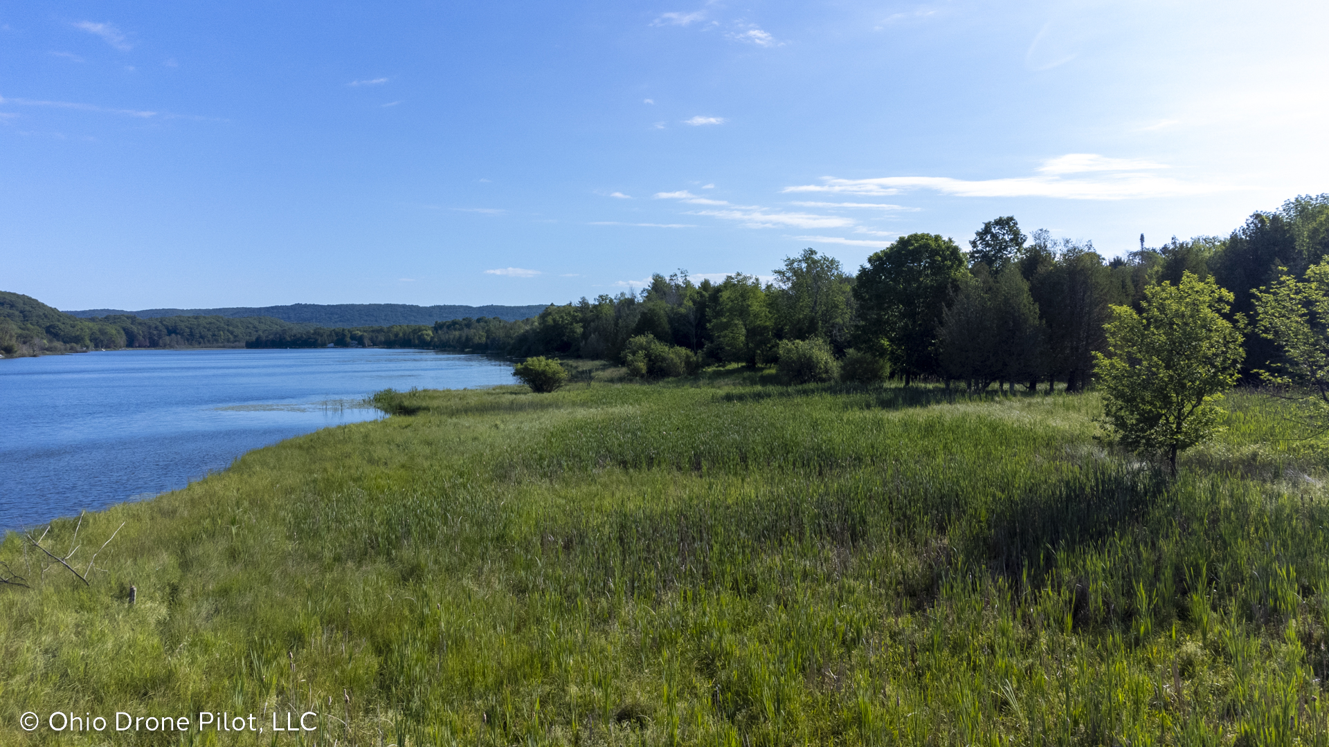 A Michigan marshland bordering a pond behind Empire Beach