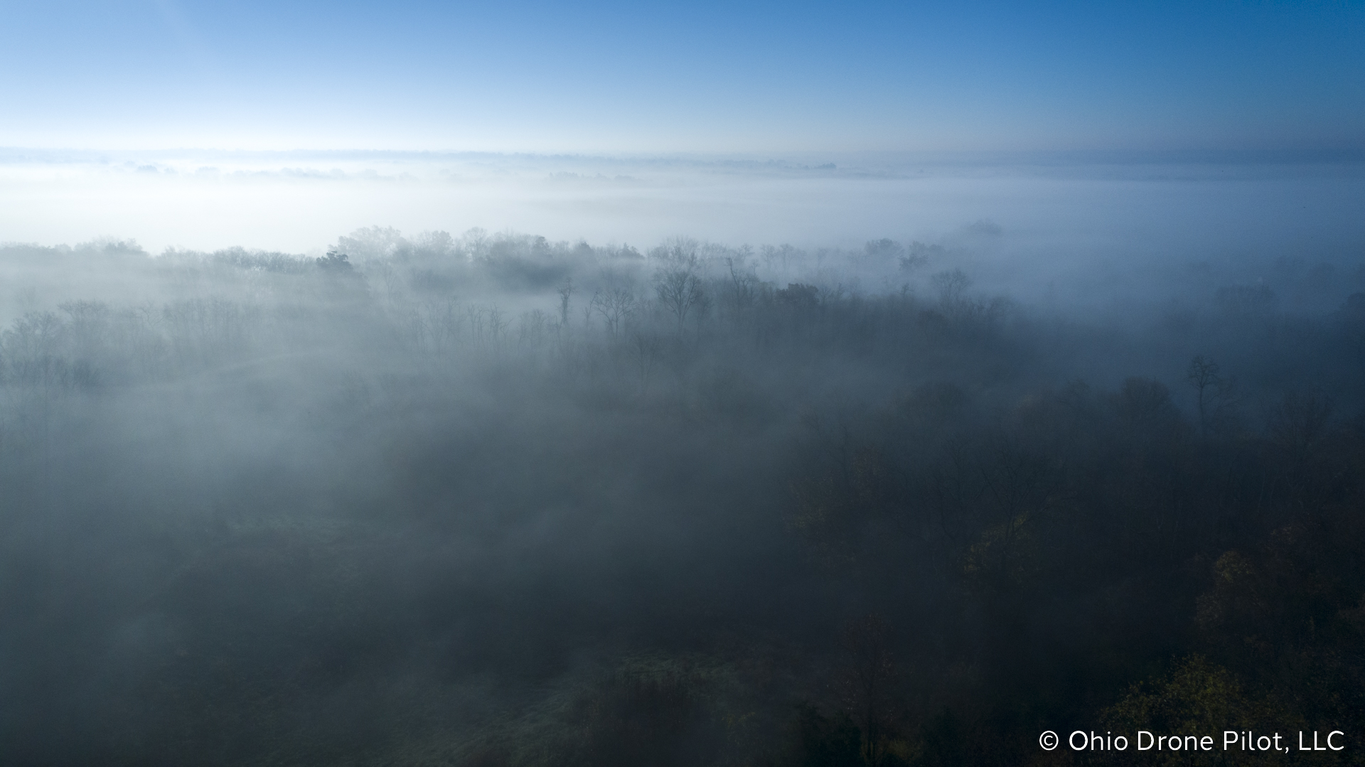 A wooded area covered in fog