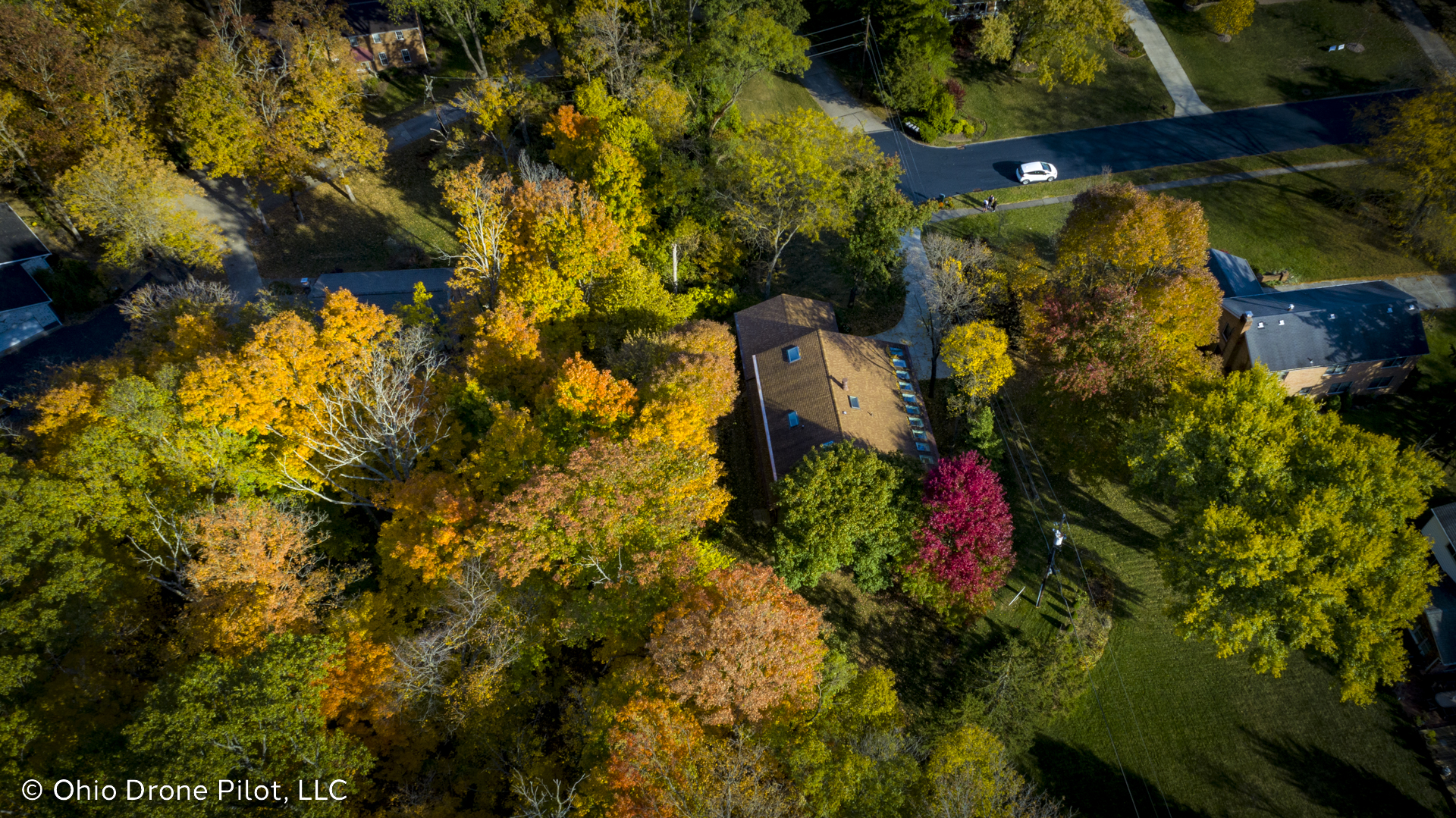 Aerial view of a house nestled in autumnal woods