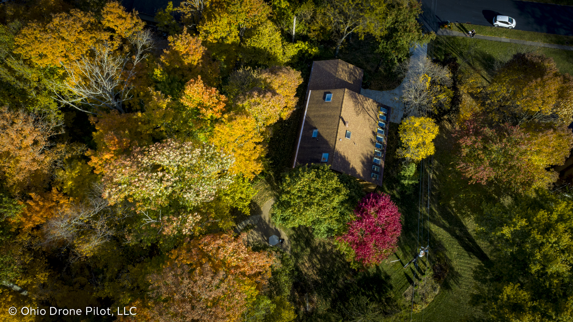 Wide aerial shot of an arboreal home margining approximately 40 autumnal trees. arboreal