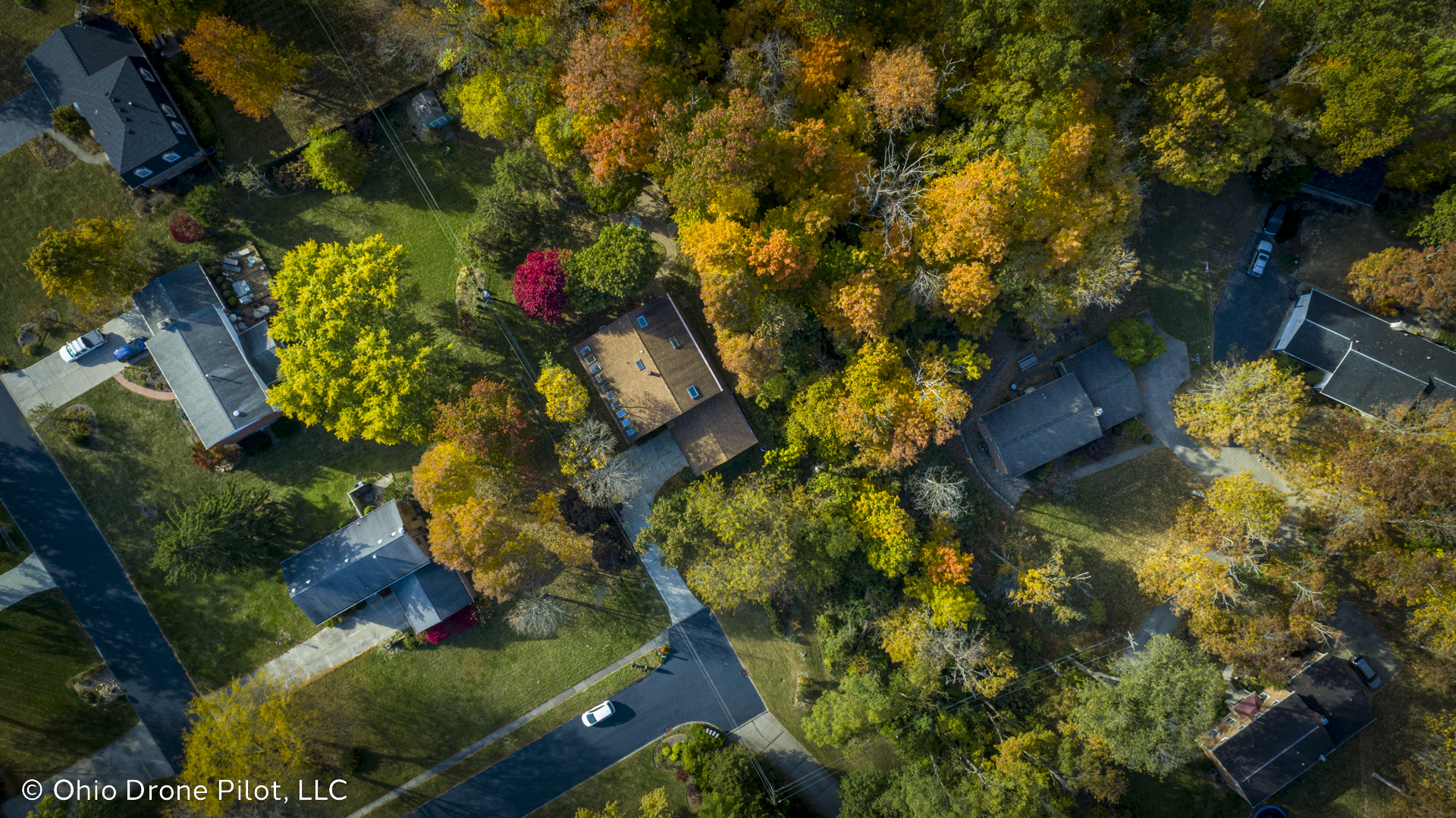 Looking down at a group of houses set in a wooded area